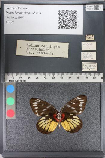 Media type: image;   Entomology 128249